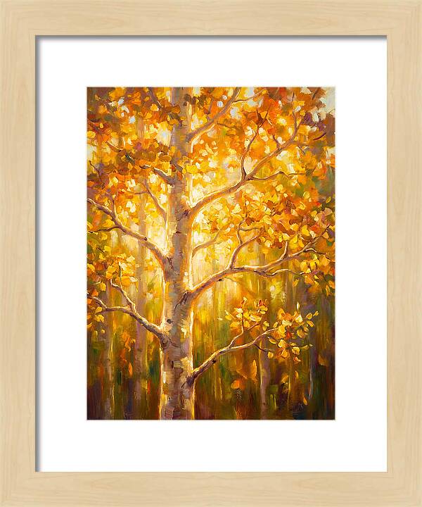 Aspen Tree
