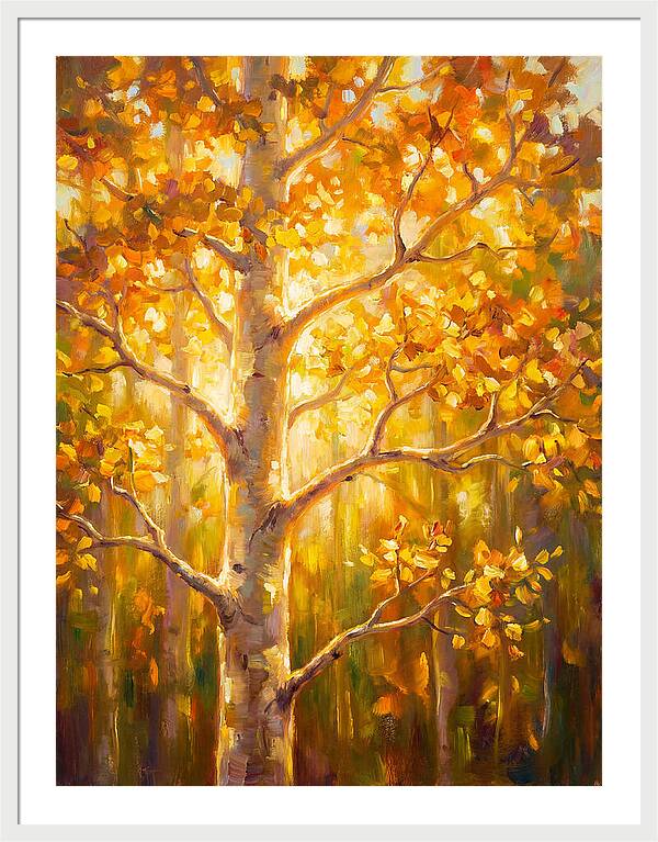 Aspen Tree