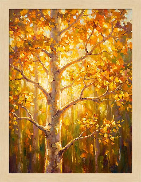 Aspen Tree
