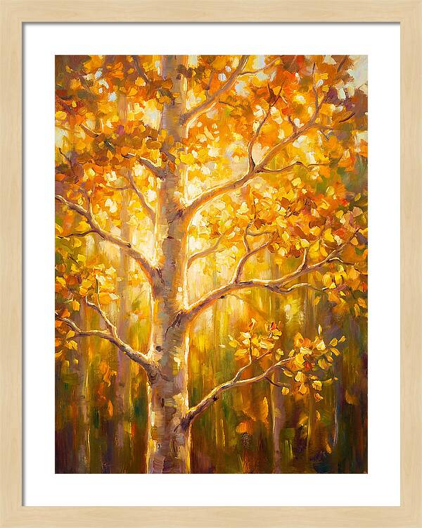 Aspen Tree