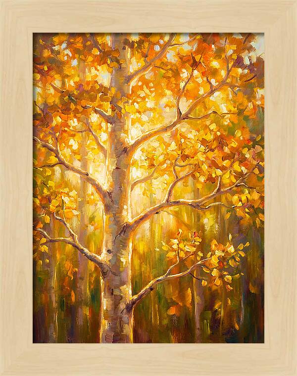 Aspen Tree
