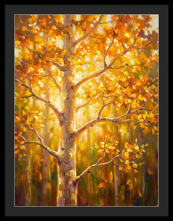 Aspen Tree