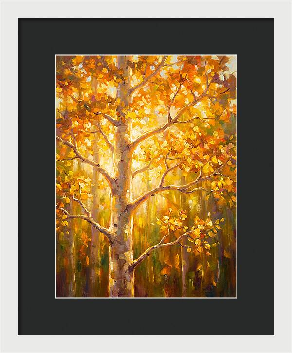 Aspen Tree