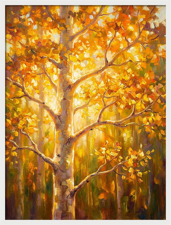 Aspen Tree