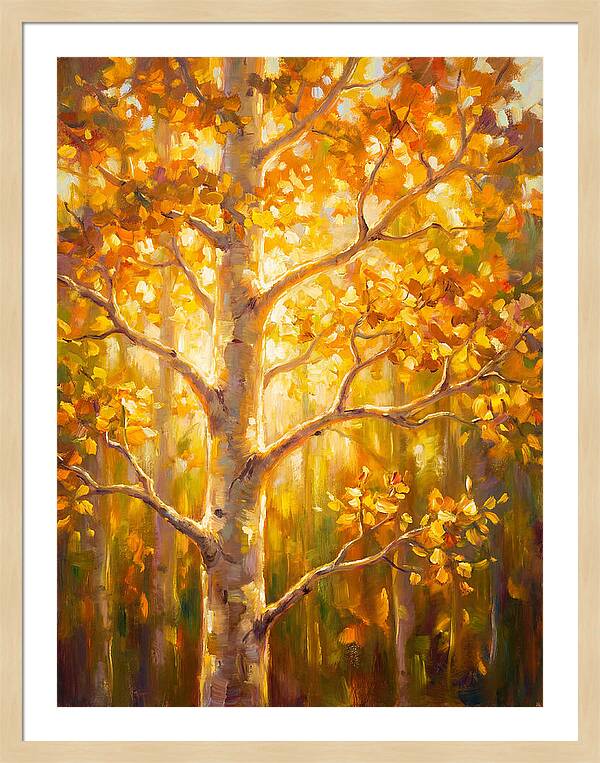 Aspen Tree