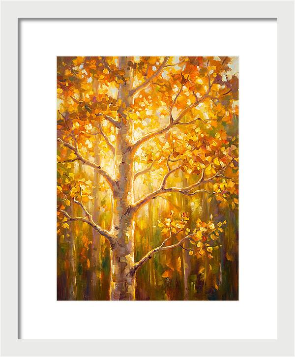 Aspen Tree