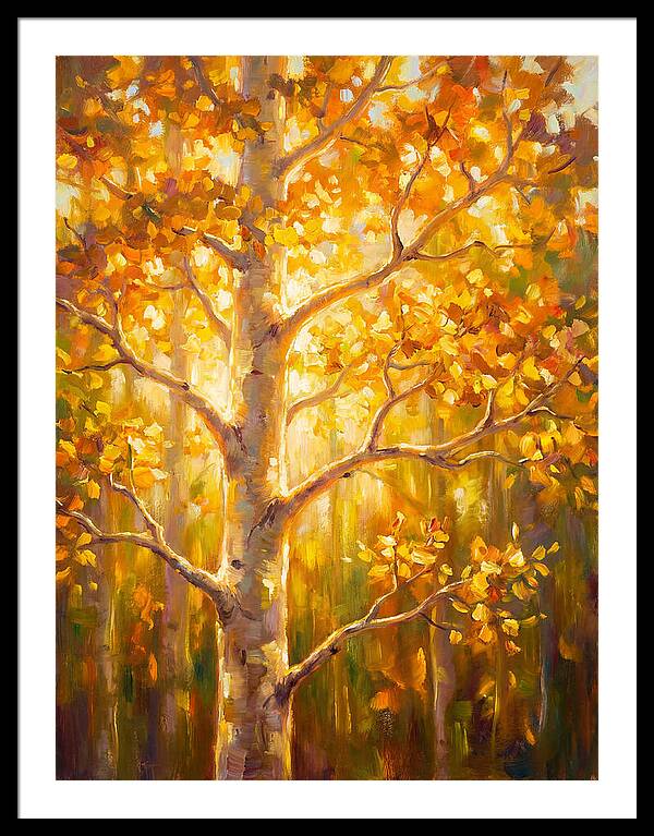 Aspen Tree