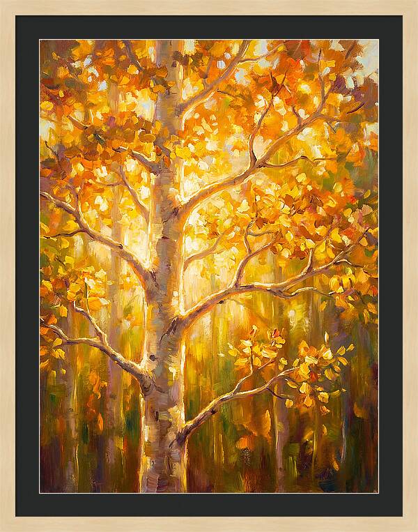 Aspen Tree