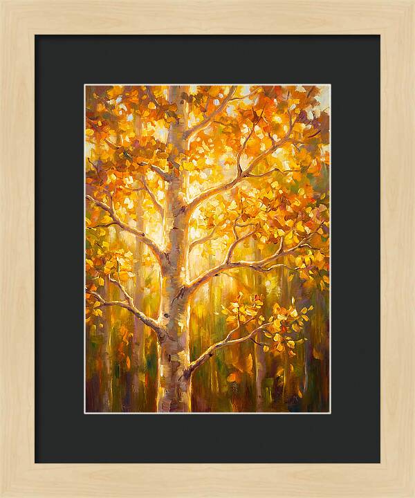 Aspen Tree
