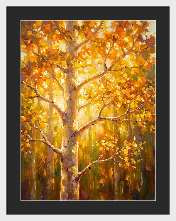 Aspen Tree