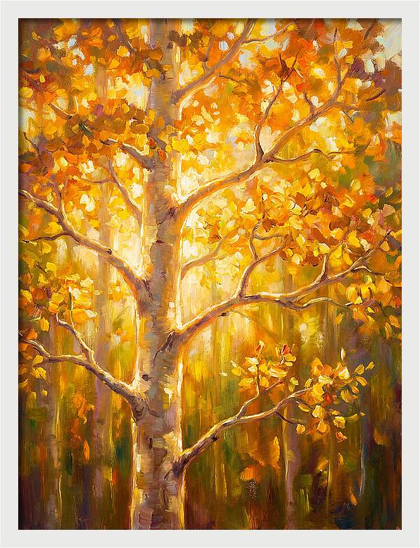 Aspen Tree