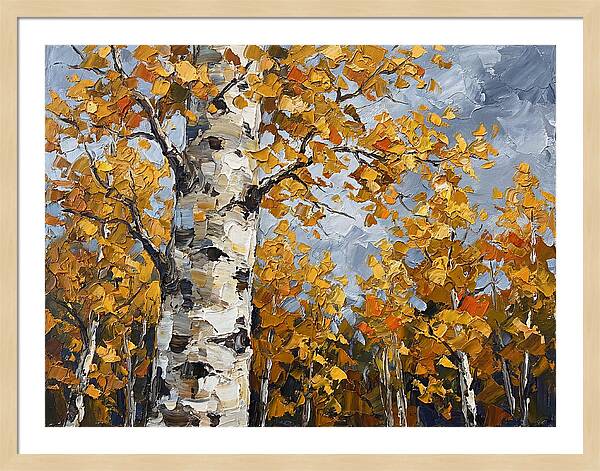 Aspen Trees In Autumn Glow