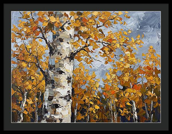 Aspen Trees In Autumn Glow