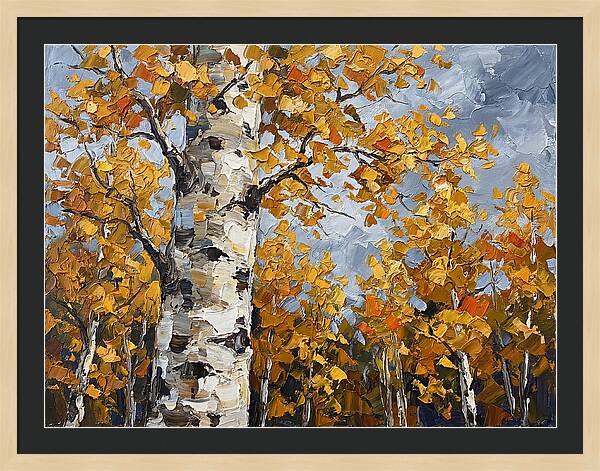 Aspen Trees In Autumn Glow
