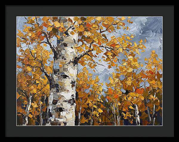 Aspen Trees In Autumn Glow