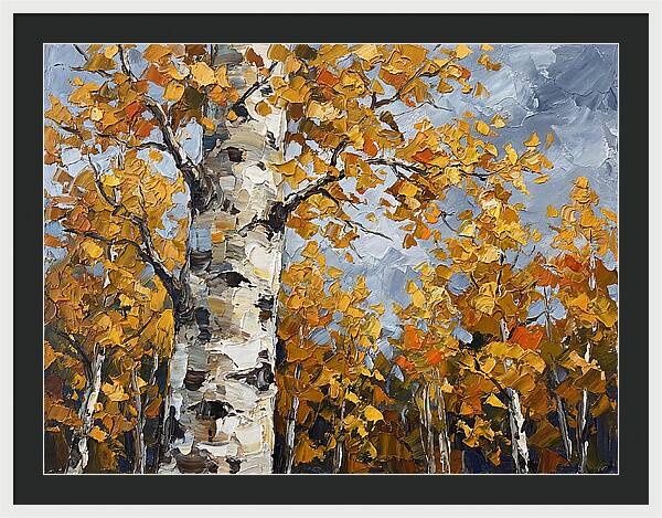 Aspen Trees In Autumn Glow