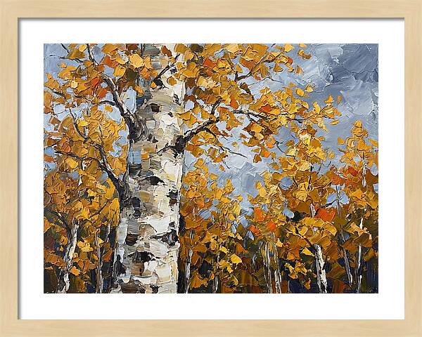 Aspen Trees In Autumn Glow