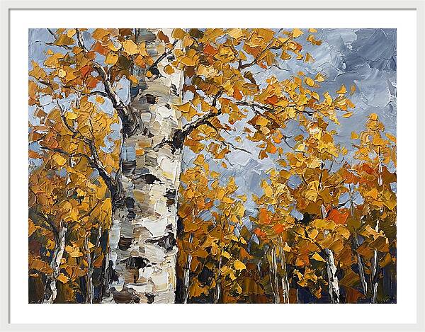 Aspen Trees In Autumn Glow