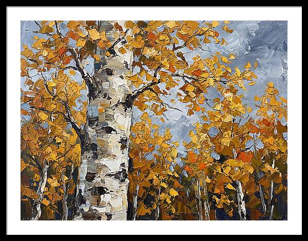Aspen Trees In Autumn Glow