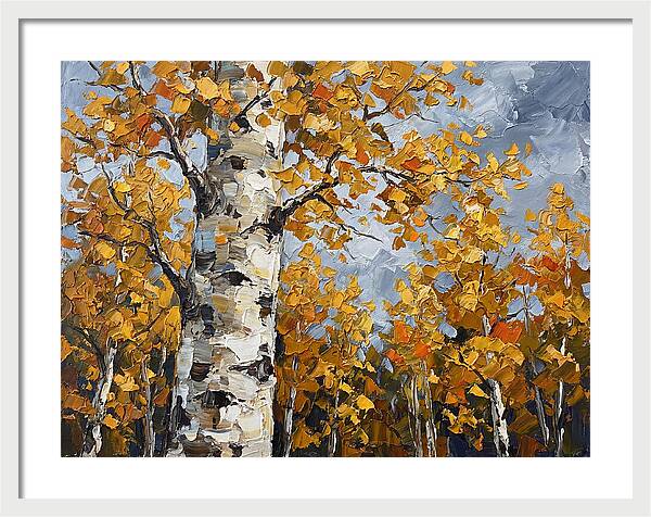 Aspen Trees In Autumn Glow