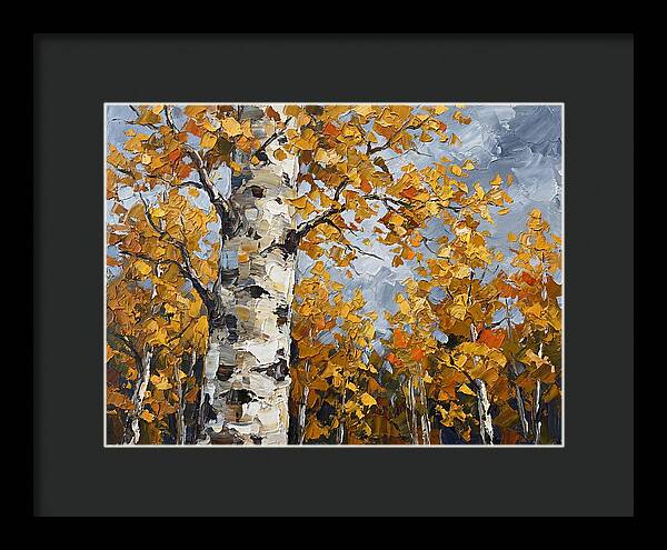 Aspen Trees In Autumn Glow