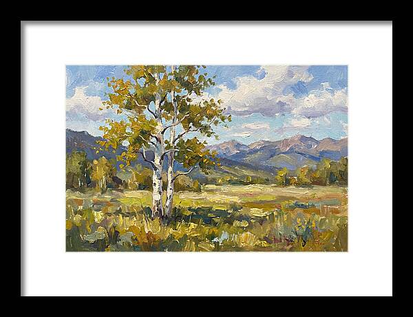 Aspen Trees In Autumn Light