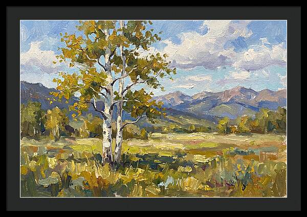 Aspen Trees In Autumn Light