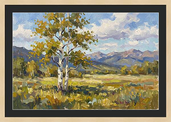 Aspen Trees In Autumn Light