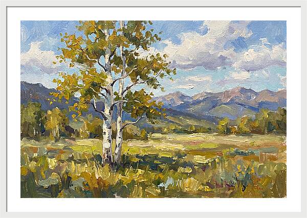 Aspen Trees In Autumn Light
