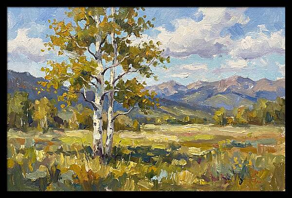 Aspen Trees In Autumn Light