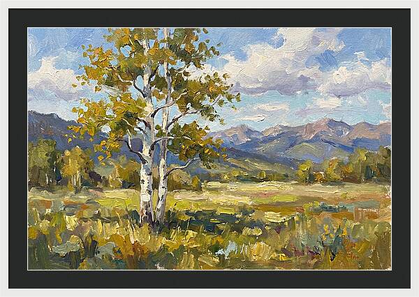Aspen Trees In Autumn Light