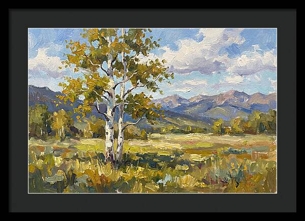 Aspen Trees In Autumn Light