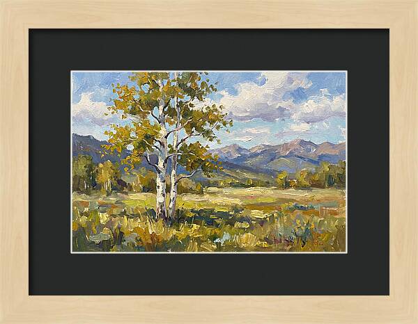 Aspen Trees In Autumn Light