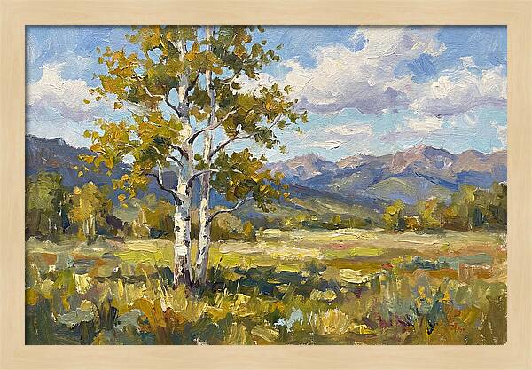 Aspen Trees In Autumn Light