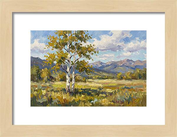 Aspen Trees In Autumn Light