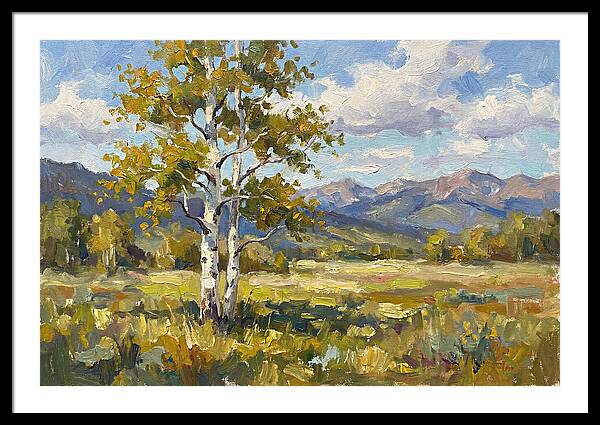 Aspen Trees In Autumn Light