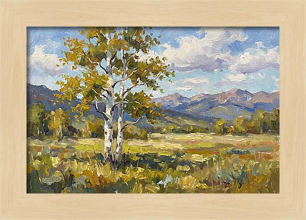 Aspen Trees In Autumn Light