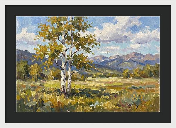 Aspen Trees In Autumn Light
