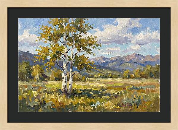 Aspen Trees In Autumn Light