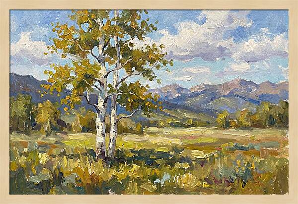 Aspen Trees In Autumn Light