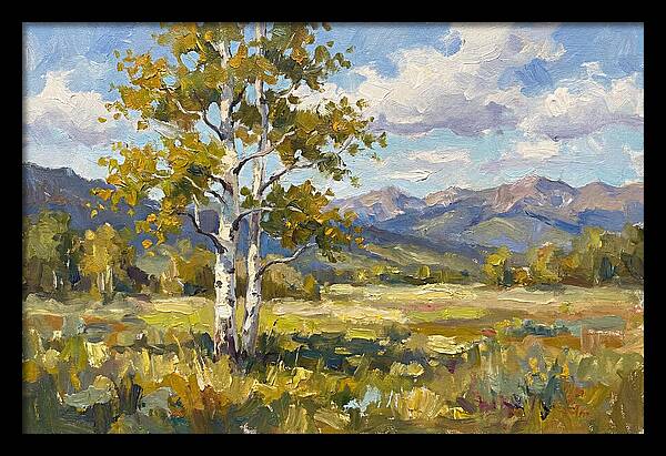 Aspen Trees In Autumn Light