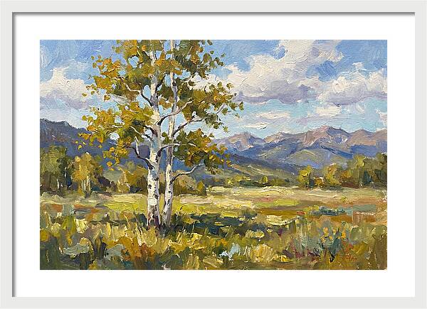 Aspen Trees In Autumn Light