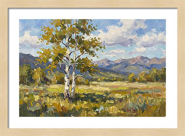 Aspen Trees In Autumn Light