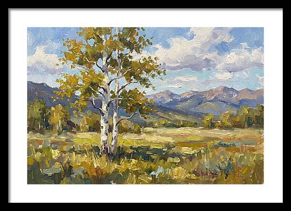 Aspen Trees In Autumn Light