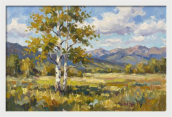 Aspen Trees In Autumn Light