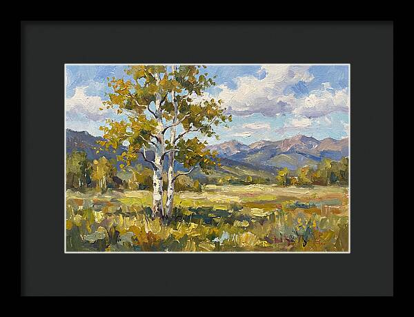 Aspen Trees In Autumn Light