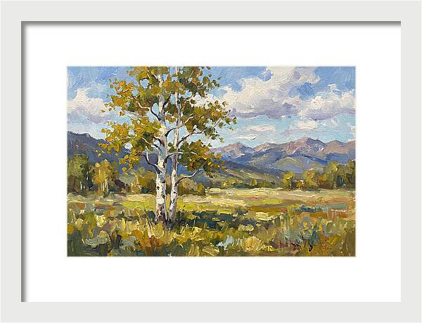 Aspen Trees In Autumn Light