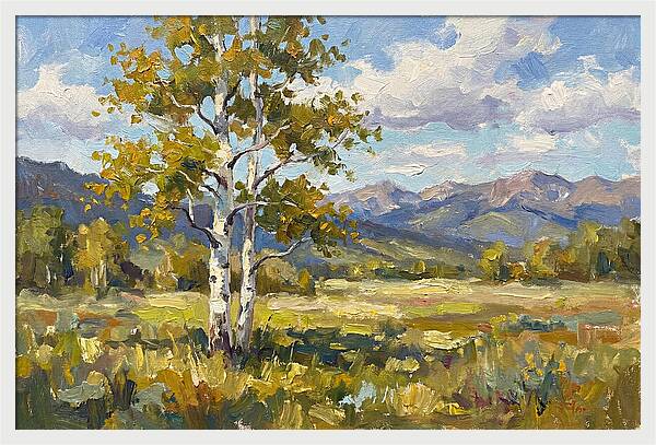 Aspen Trees In Autumn Light