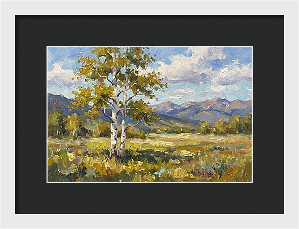 Aspen Trees In Autumn Light