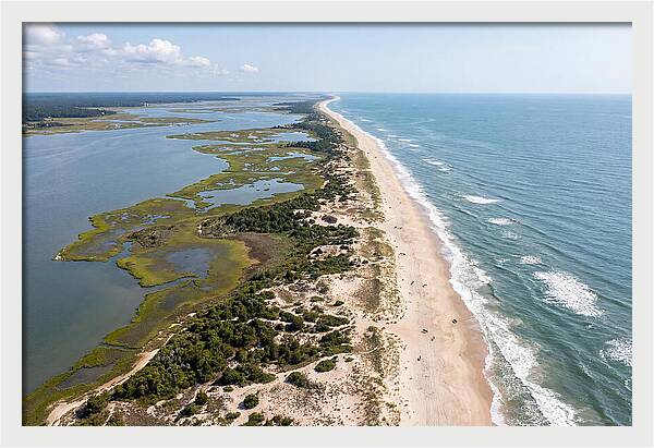Assateague Island Aerial View
